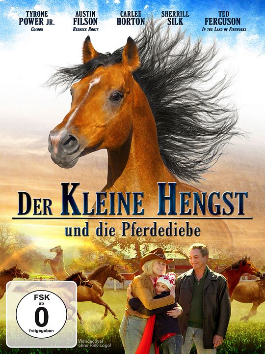 Der kleine Hengst und die Pferdediebe : Kinoposter