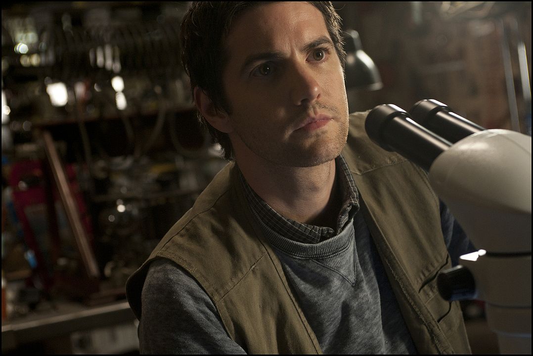 The Best Offer - Das höchste Gebot : Bild