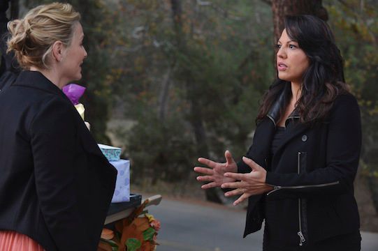 Grey's Anatomy - Die jungen Ärzte : Bild Sara Ramirez, Jessica Capshaw