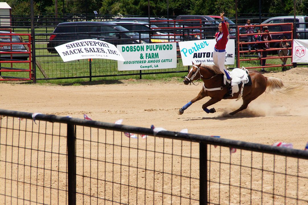 Cowgirls and Angels 2 - Dakotas Pferdesommer : Bild