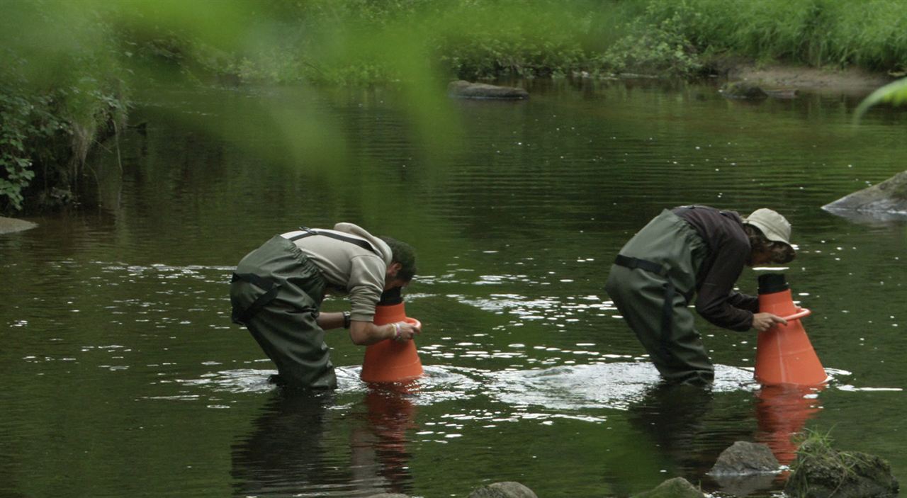 La Ligne de partage des eaux : Bild