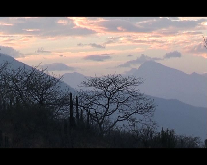 Chaparri, les sept ours de la montagne sacrée : Bild