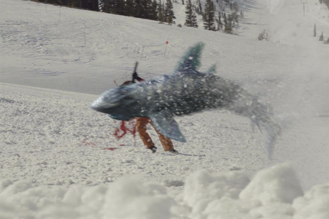 Snow Sharks : Bild