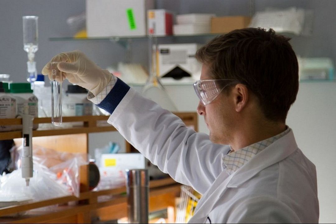 Virus Outbreak - Lautloser Killer : Bild