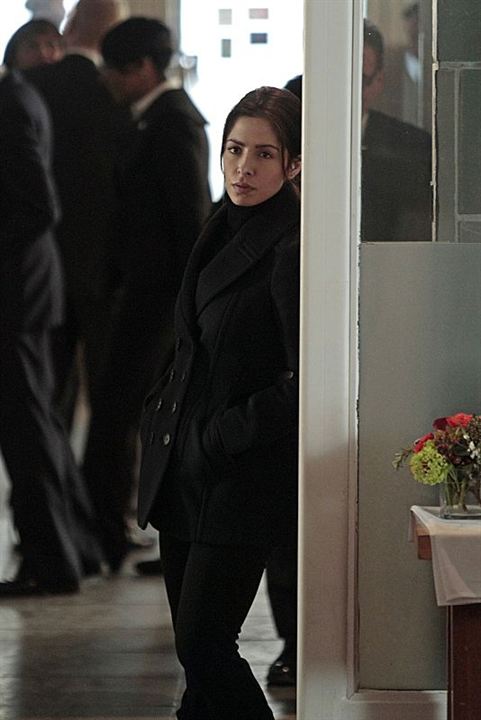 Person Of Interest : Bild Sarah Shahi