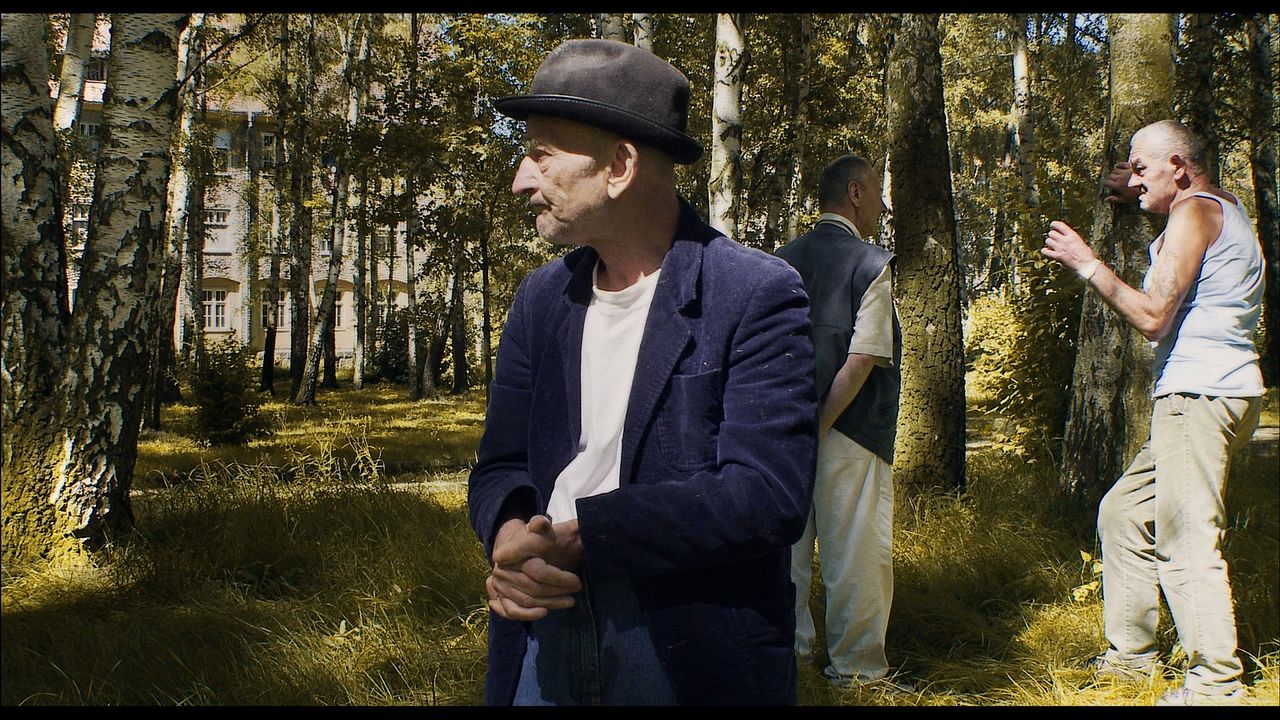 Sieniawka : Bild Stefan Szyszka