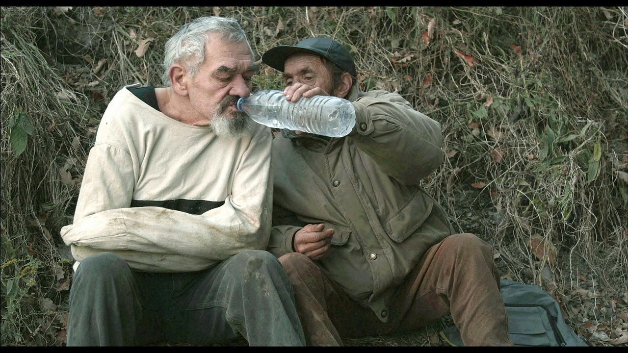 Sieniawka : Bild Stefan Szyszka