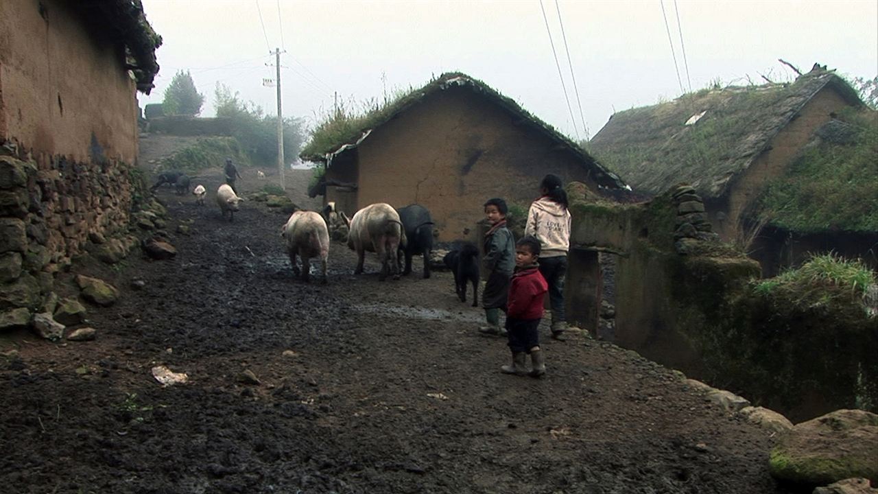 Allein in den Bergen von Yunnan : Bild