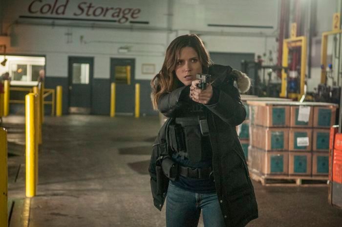 Chicago PD : Bild Sophia Bush