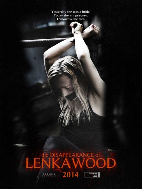 Lenka Wood - Spurlos verschwunden : Kinoposter