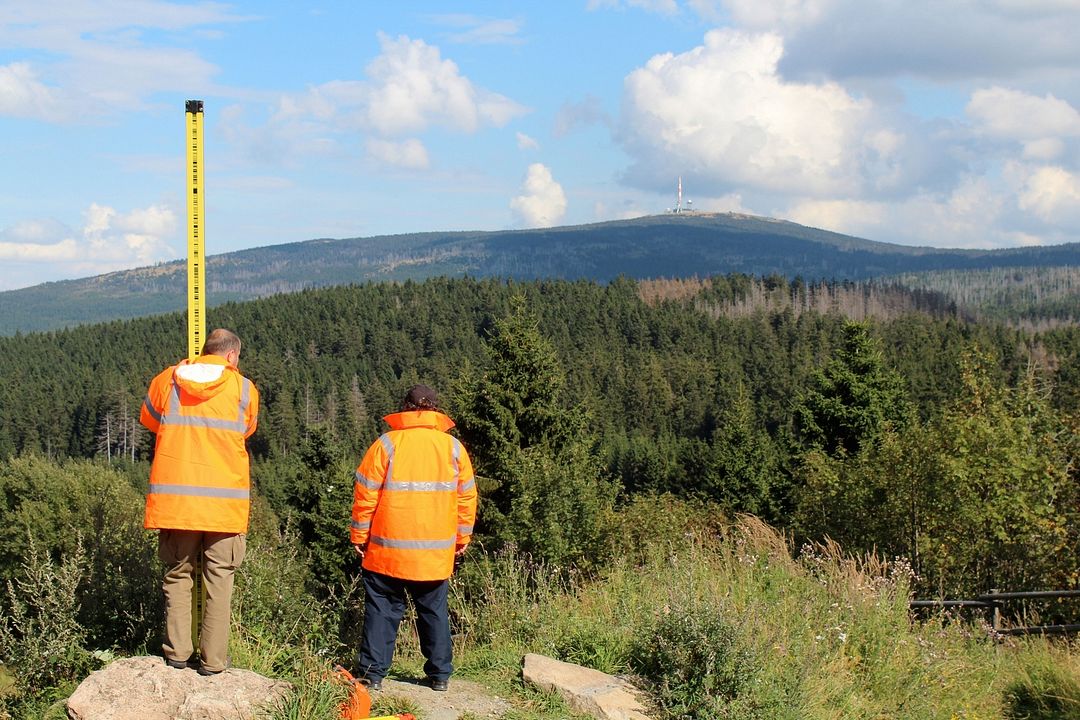 Vom Ordnen der Dinge : Bild