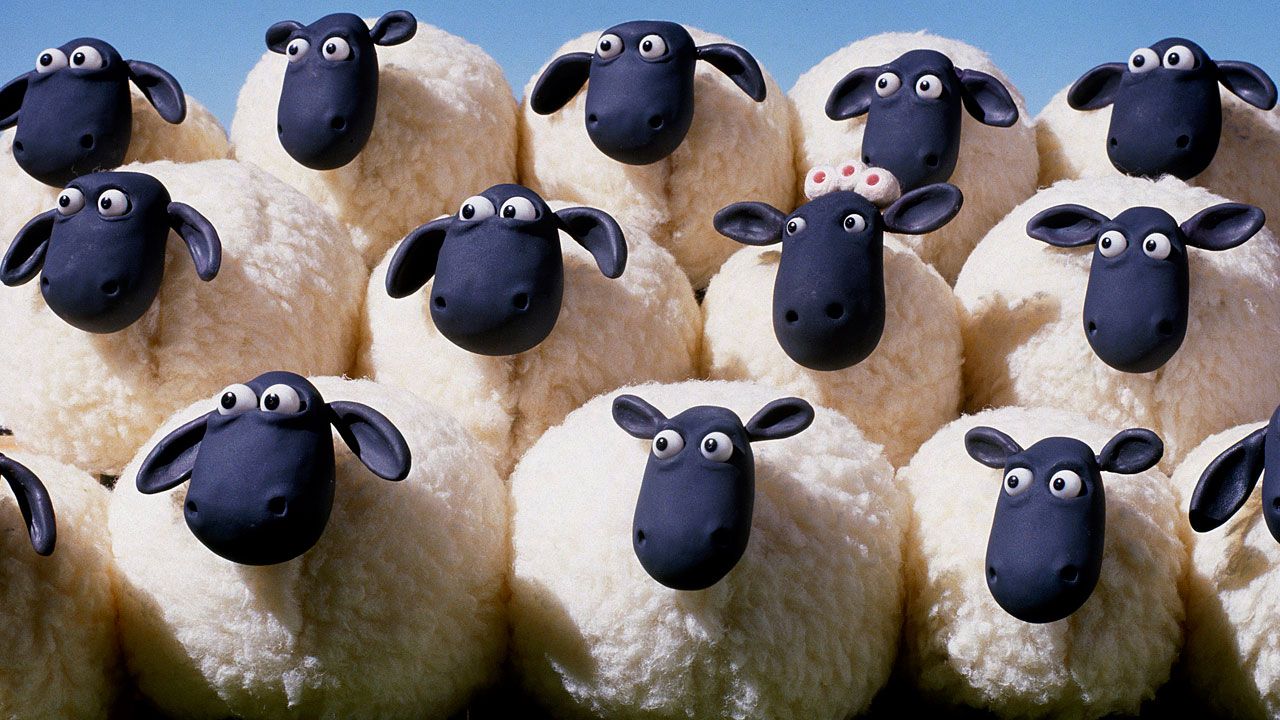 Shaun das Schaf : Bild