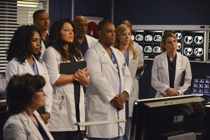 Grey's Anatomy - Die jungen Ärzte : Bild Jesse Williams, Jerrika Hinton, James Pickens Jr., Ellen Pompeo, Tessa Ferrer, Sara Ramirez