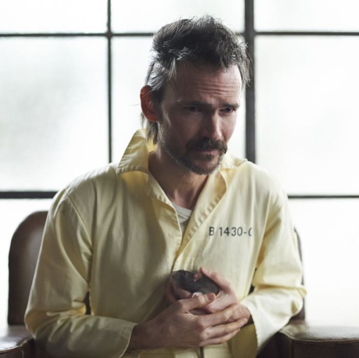 Hannibal : Bild Jeremy Davies