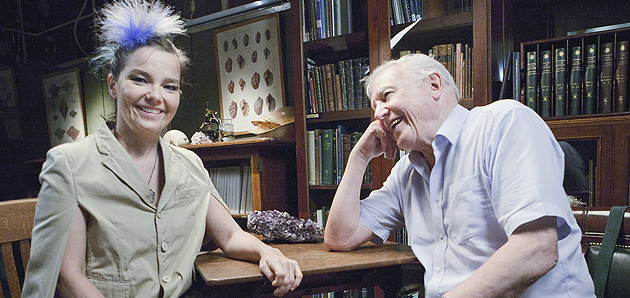When Björk met Attenborough: The Nature of Music : Bild