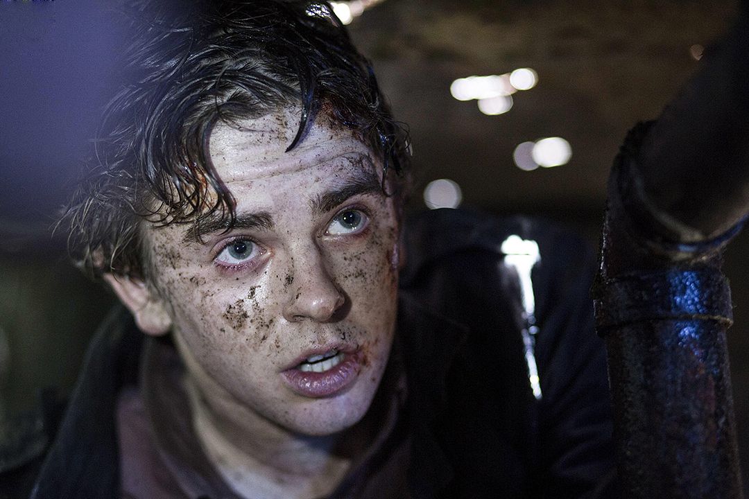 Bates Motel : Bild Freddie Highmore