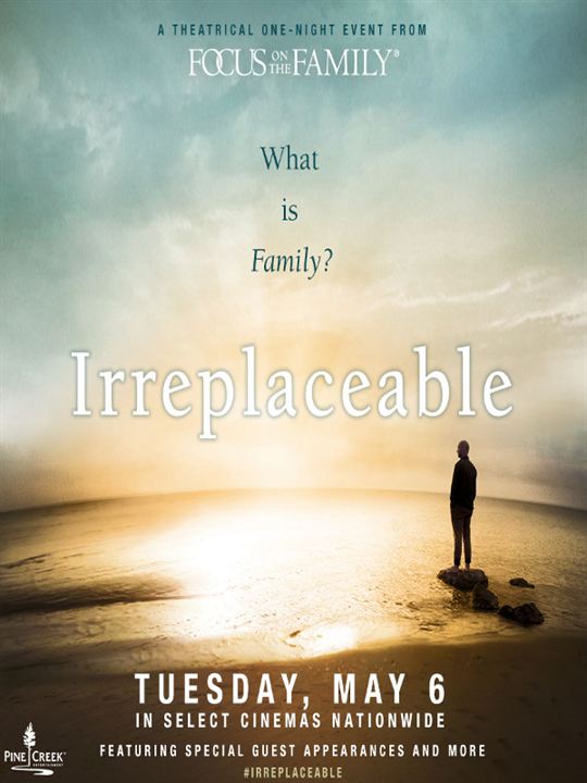 Irreplaceable : Kinoposter