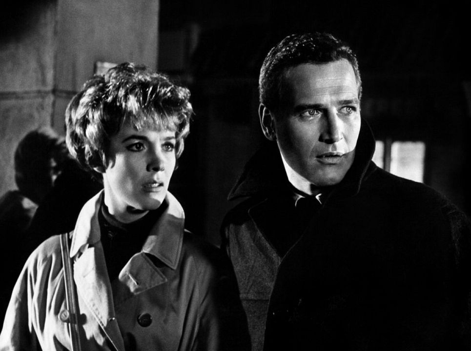 Der zerrissene Vorhang : Bild Paul Newman, Julie Andrews