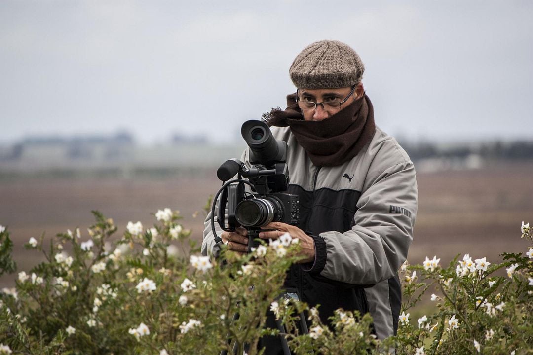 Tim Lopes - Histórias de Arcanjo : Vignette (magazine)