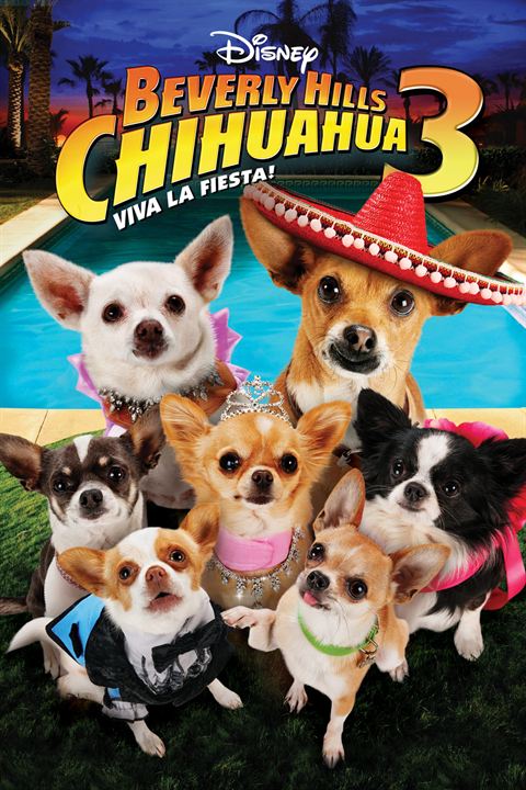 Beverly Hills Chihuahua 3 : Kinoposter