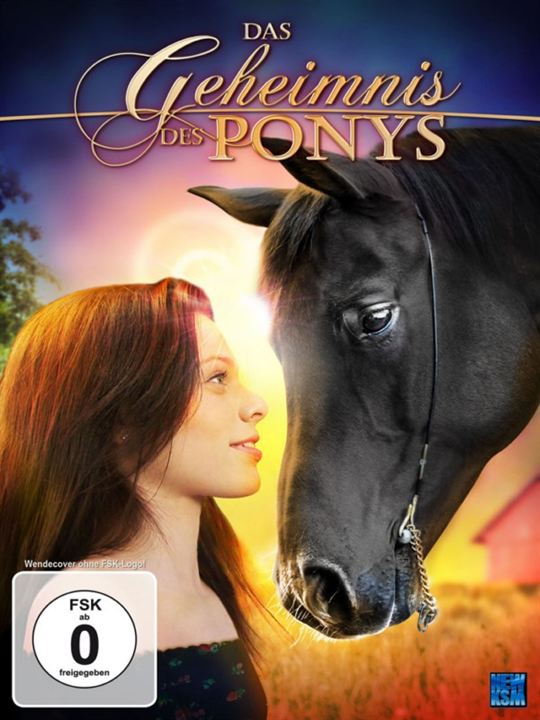 Das Geheimnis des Ponys : Kinoposter