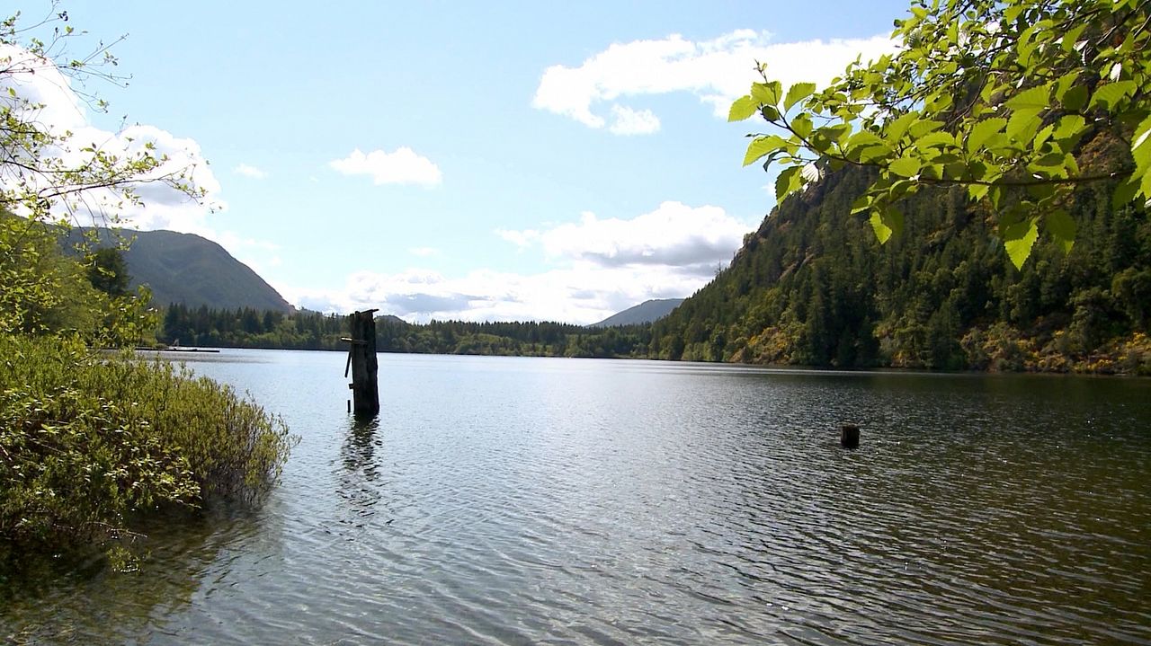 Das Geheimnis des Ponys : Bild