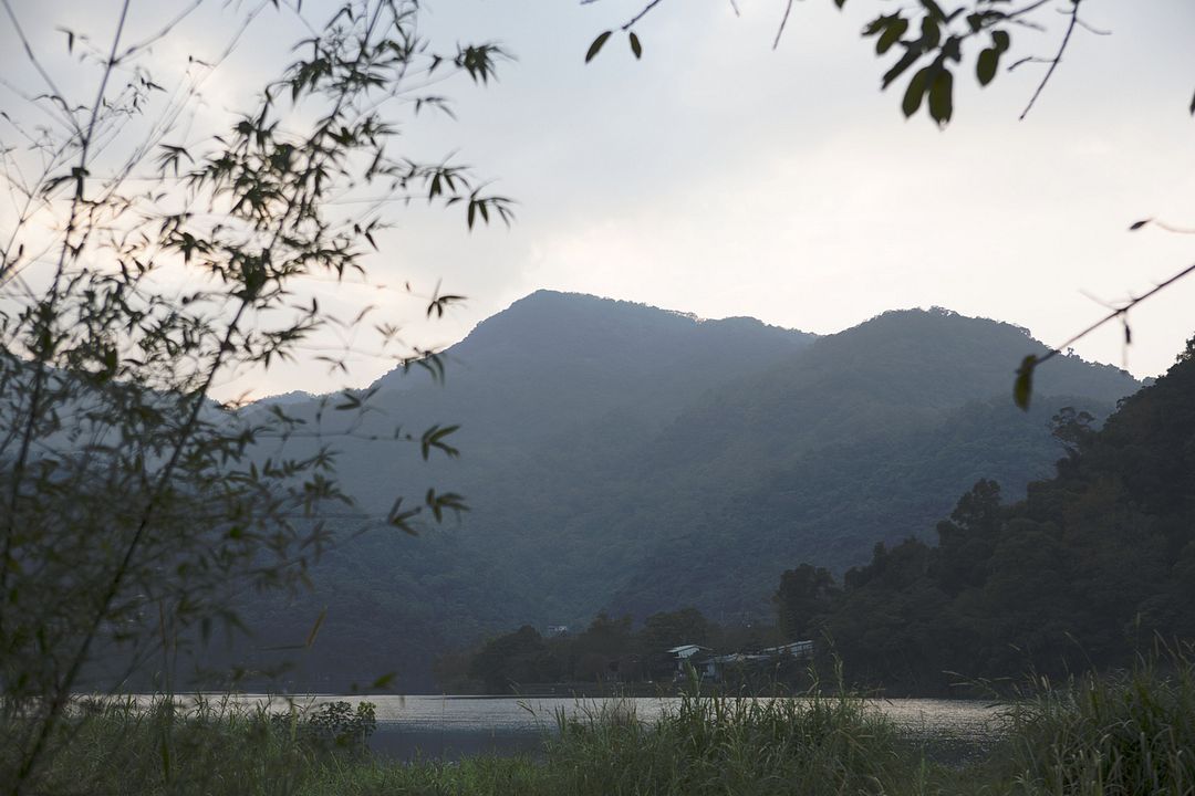 Shu Jia Zuo Ye : Bild