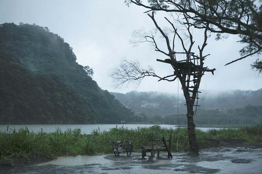 Shu Jia Zuo Ye : Bild