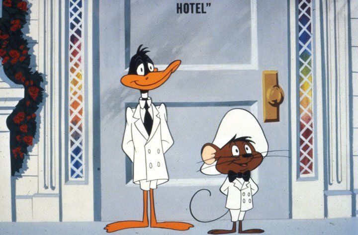 Daffy Ducks fantastische Insel : Bild