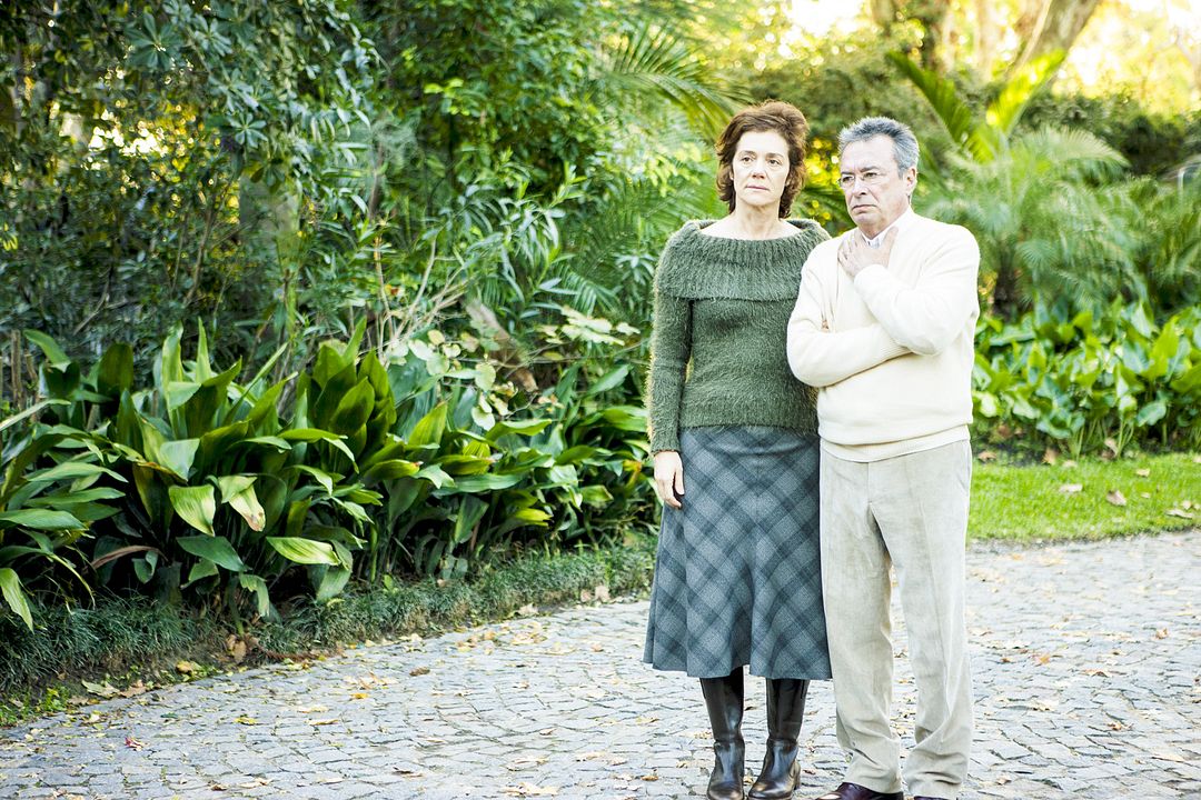 Wild Tales - Jeder dreht mal durch! : Bild