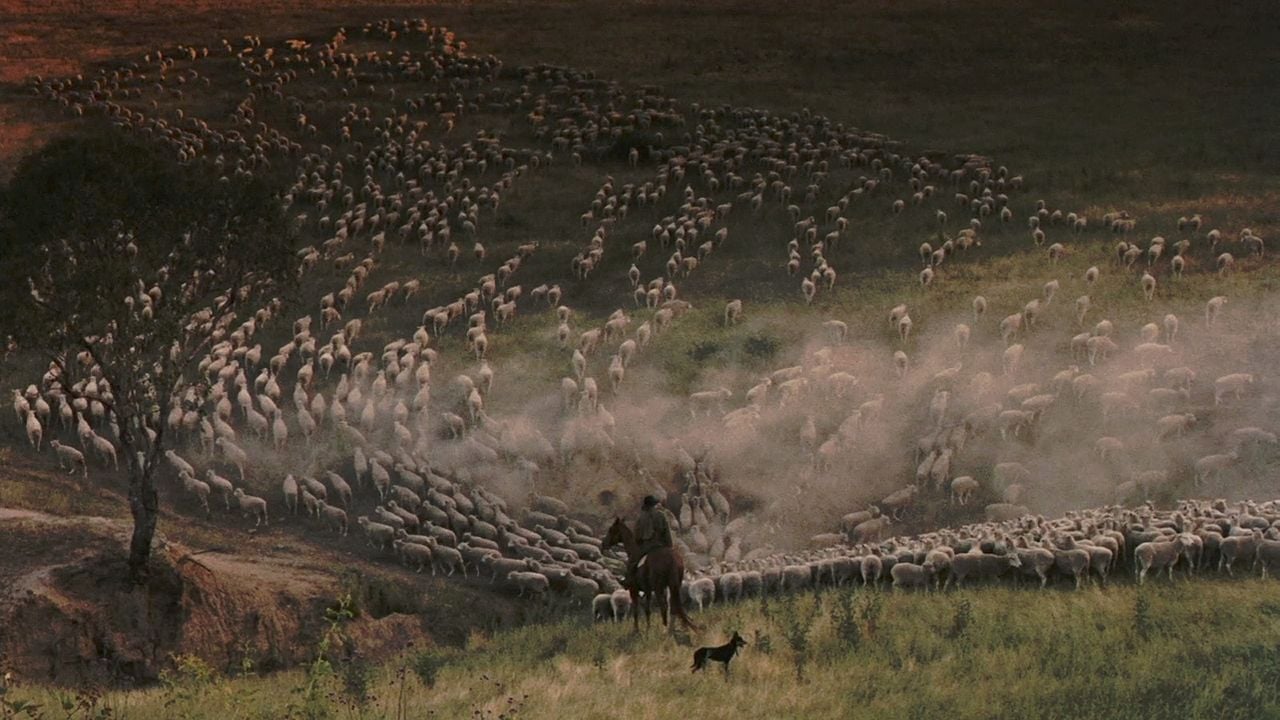 Rebellion der Rechtlosen : Bild