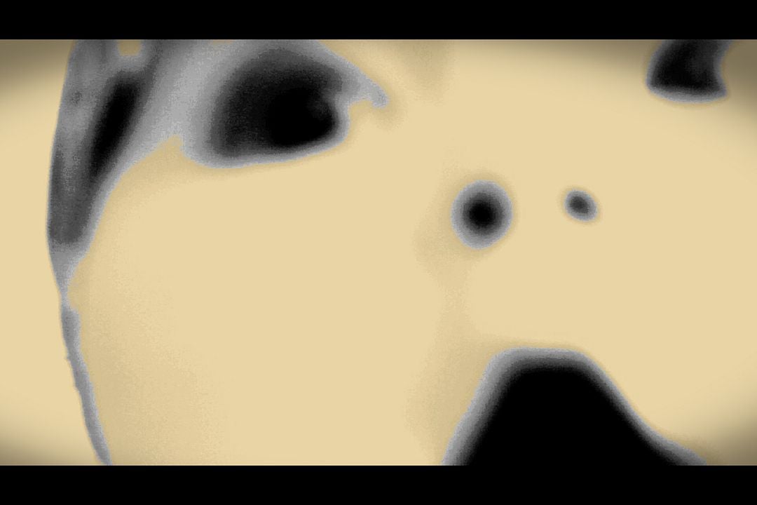 O Günden Sonra:E.M : Bild