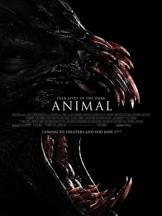 Animal : Kinoposter