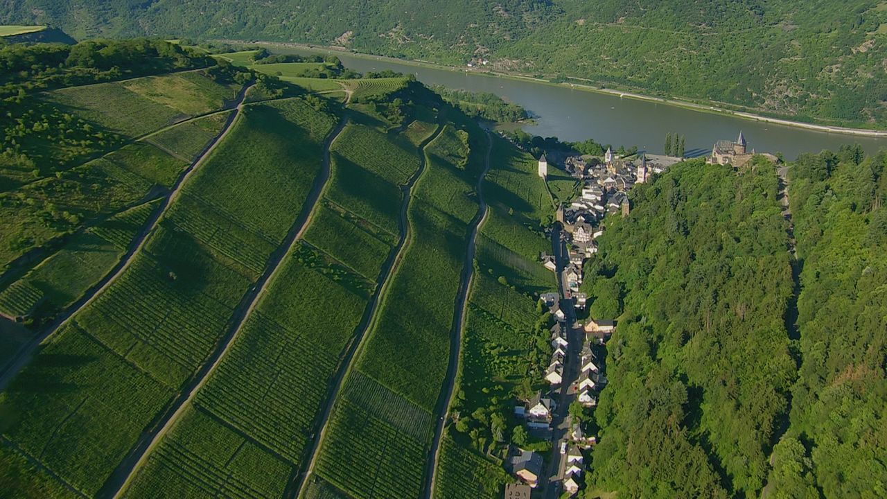 Rheingold - Gesichter eines Flusses : Bild