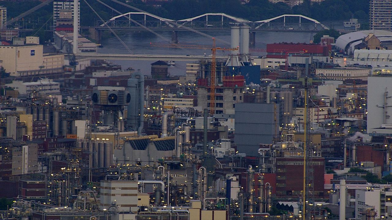 Rheingold - Gesichter eines Flusses : Bild