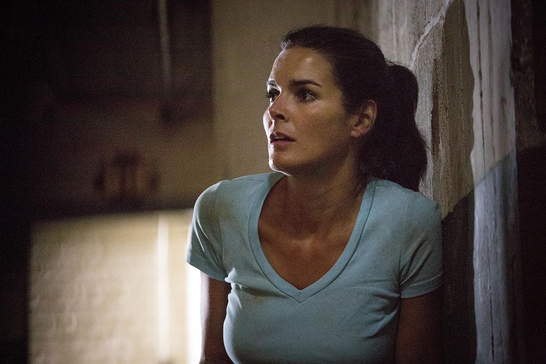 Rizzoli & Isles : Bild Angie Harmon