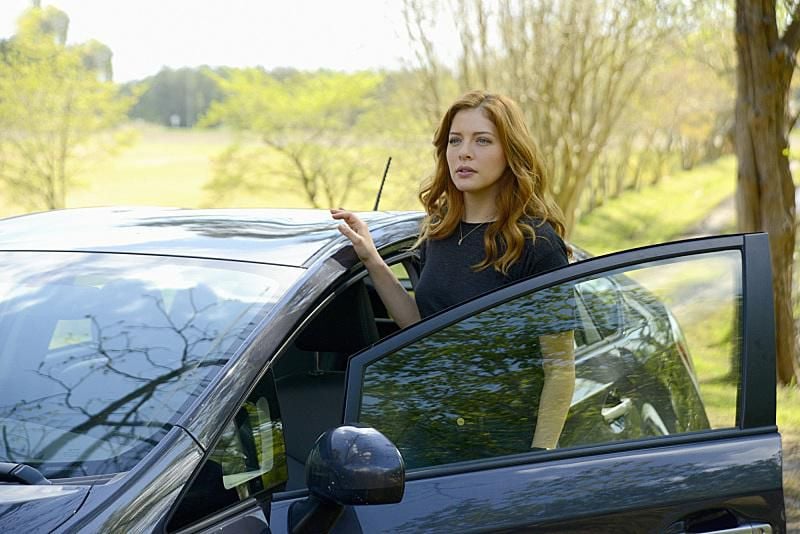 Under The Dome : Bild Rachelle LeFevre