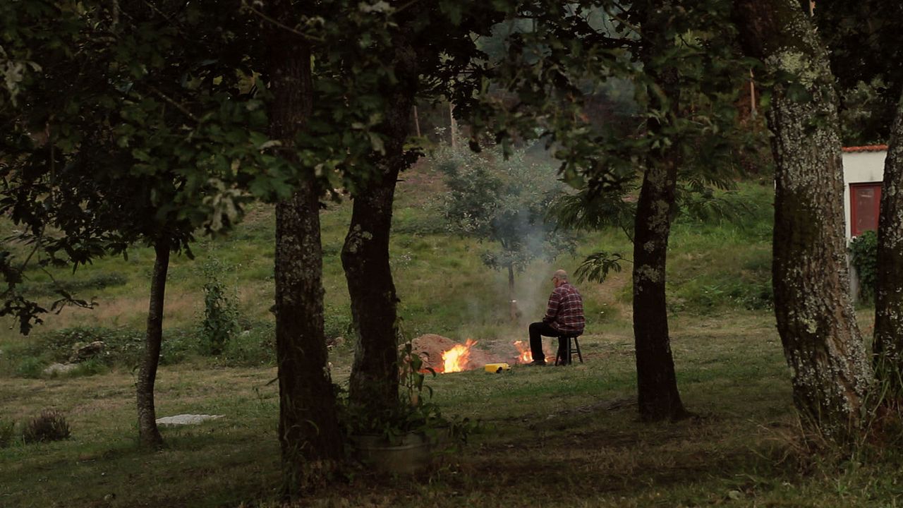 O ouro do tempo : Bild