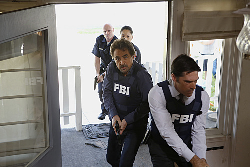 Criminal Minds : Bild Joe Mantegna, Thomas Gibson