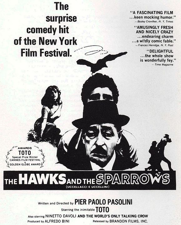 Große Vögel, kleine Vögel : Kinoposter