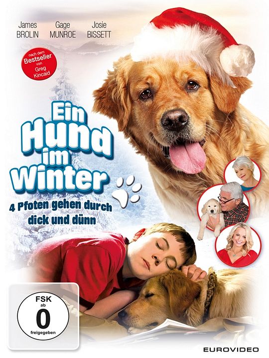 Ein Hund im Winter : Kinoposter