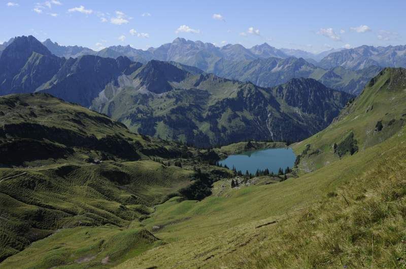 Deutschlands wilde Vögel - Teil 2 - Die Reise geht weiter : Bild