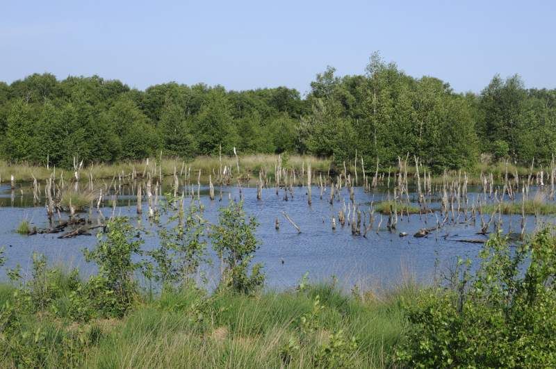 Deutschlands wilde Vögel - Teil 2 - Die Reise geht weiter : Bild