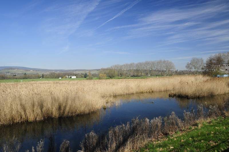 Deutschlands wilde Vögel - Teil 2 - Die Reise geht weiter : Bild
