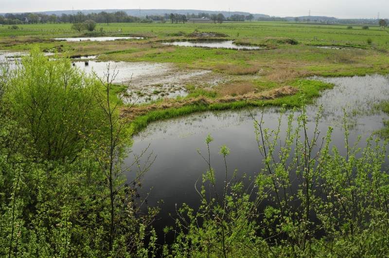 Deutschlands wilde Vögel - Teil 2 - Die Reise geht weiter : Bild