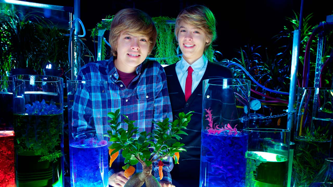 Zack & Cody - Der Film : Bild