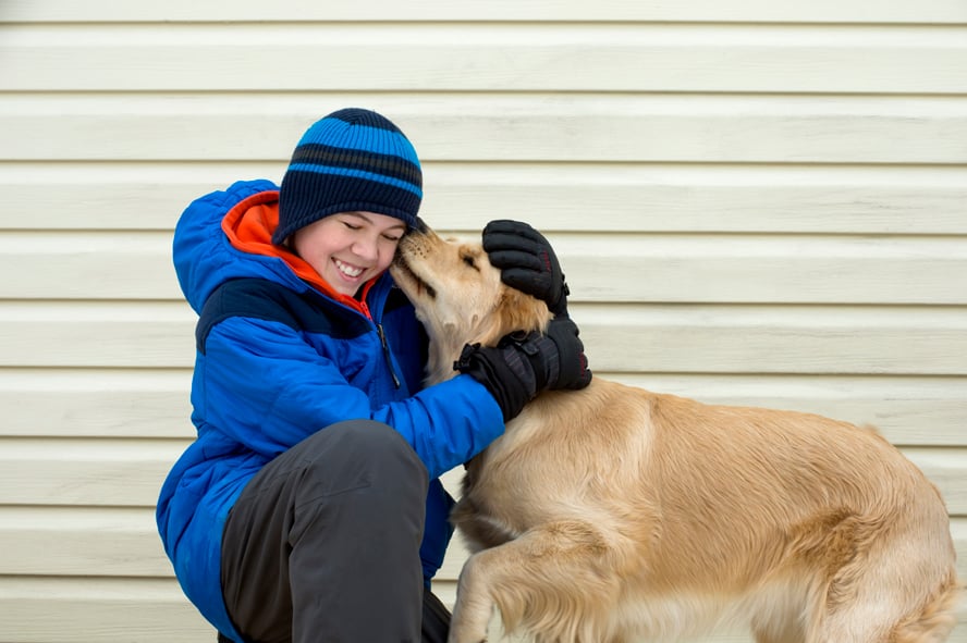 Ein Hund im Winter : Bild