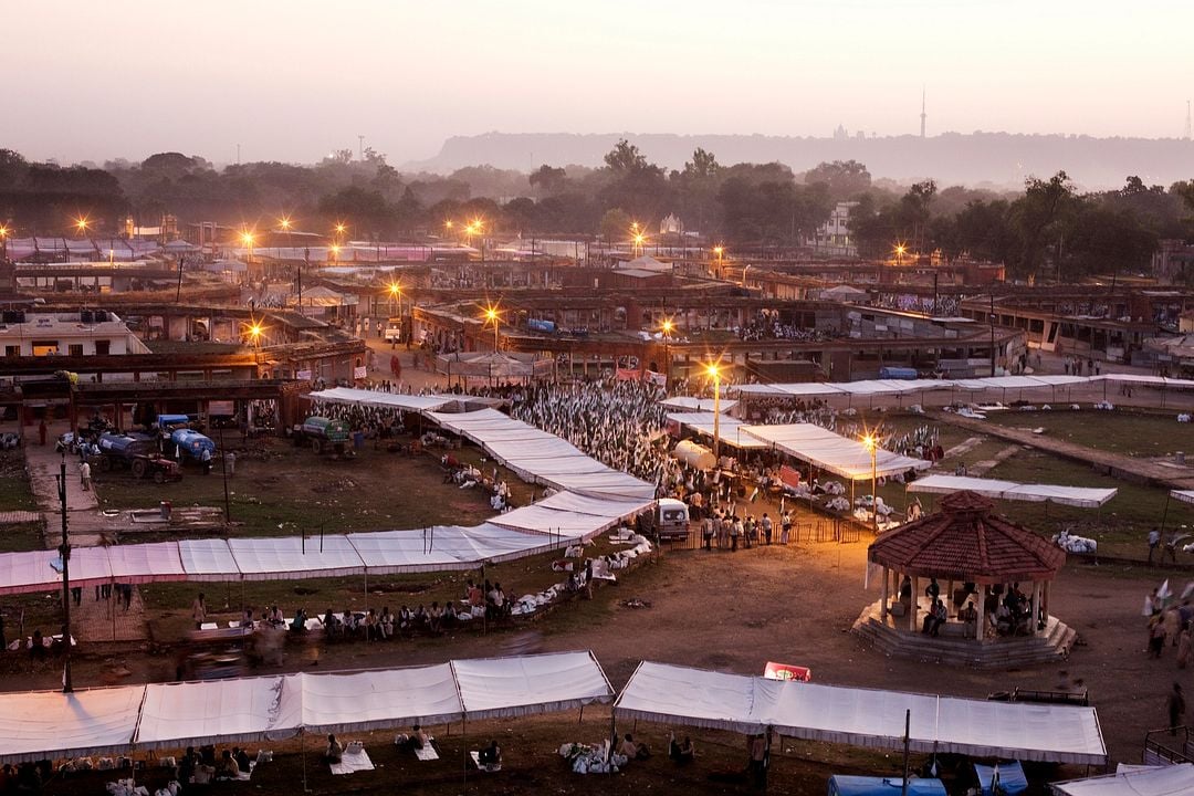 Millions Can Walk : Bild