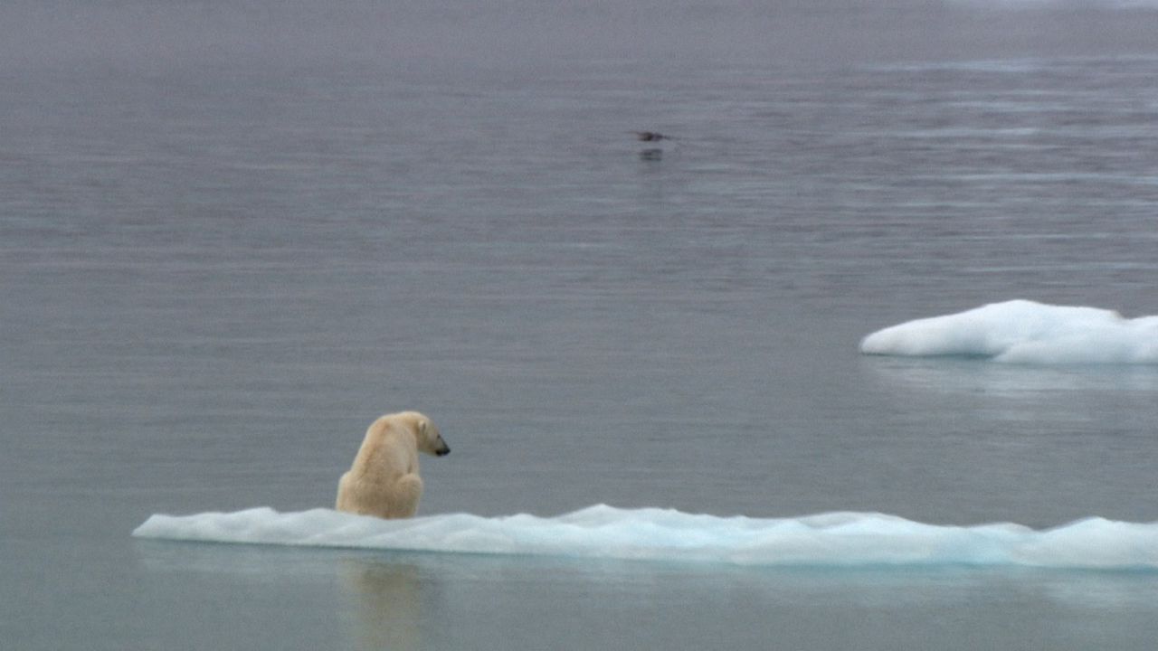 Macht Energie : Bild