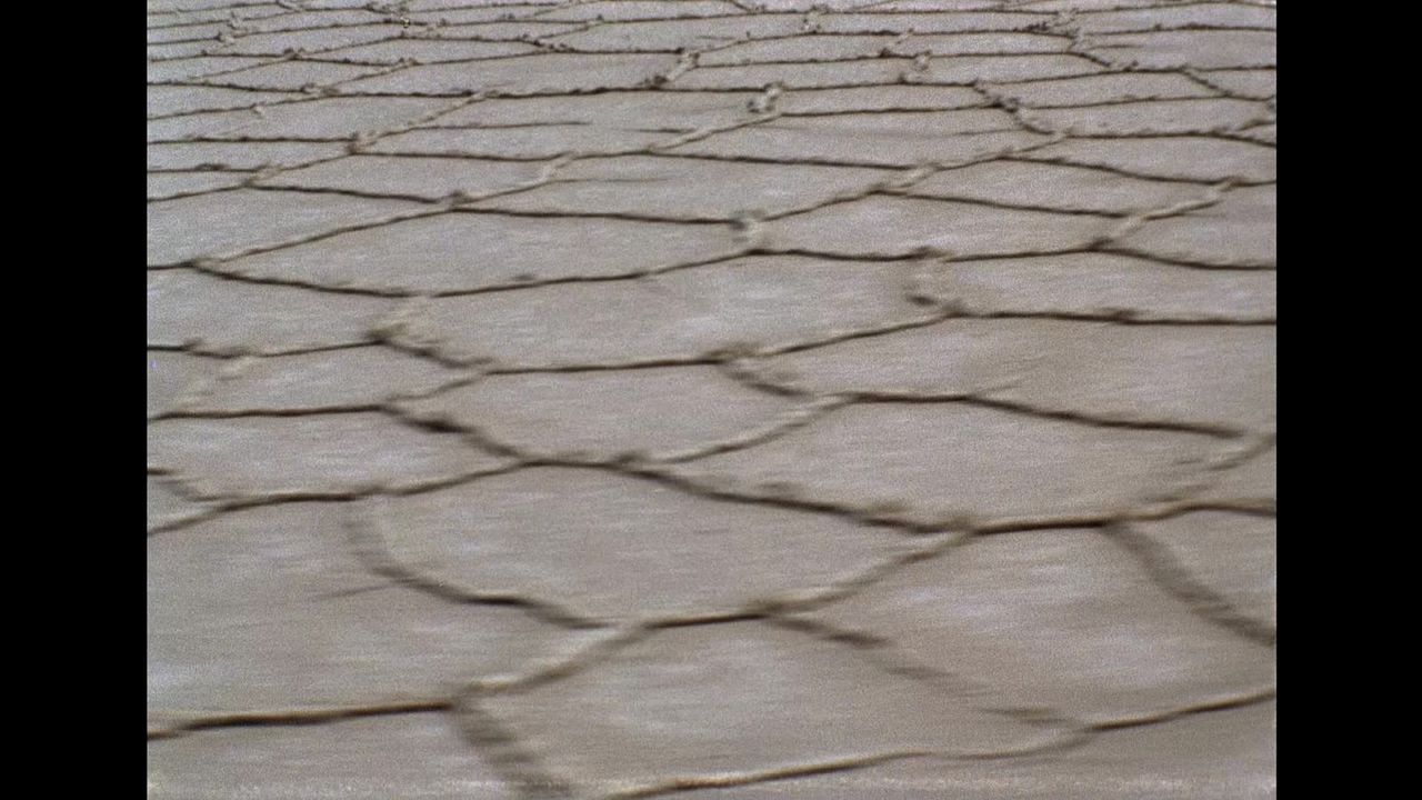 Die Zeit vergeht wie ein brüllender Löwe : Bild